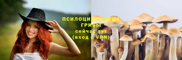 стафф Липки