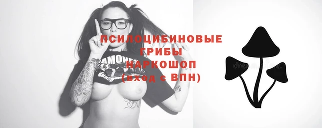 крисы Лиски